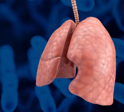 dia mundial de la tuberculosis 2023