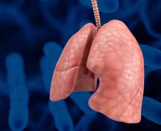 dia mundial de la tuberculosis 2023